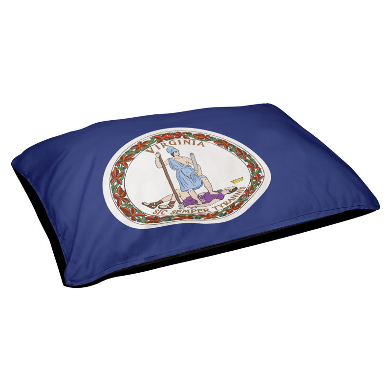 Coussin de créateur de l’indicateur virginie Burien, L 19,5 po x l 29,5 po, Noir
