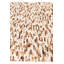 Tapis Isidore