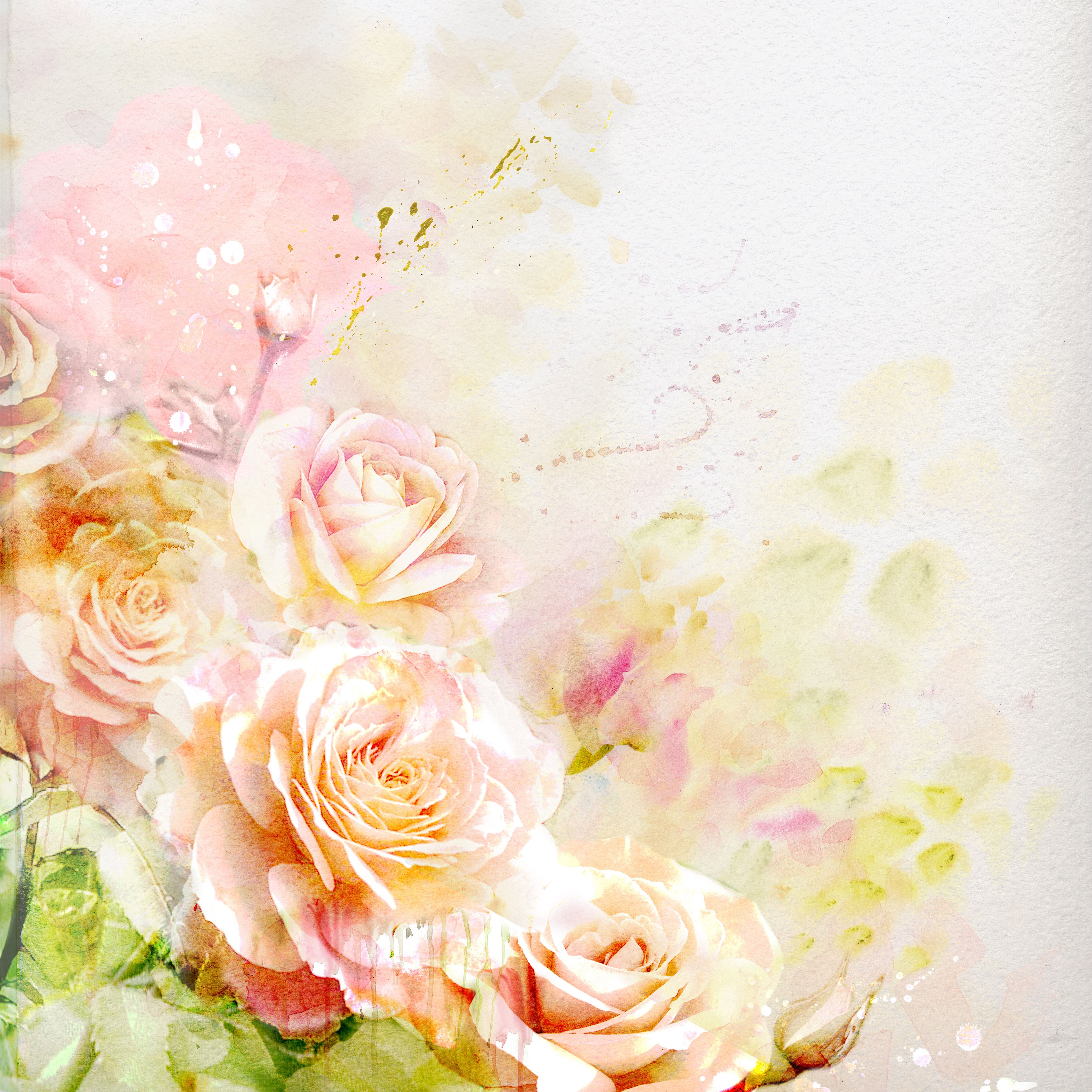 Soft Watercolour Roses Canora Grey Watercolour Roses - Wrapped Canvas Graphic Art | Wayfair.ie