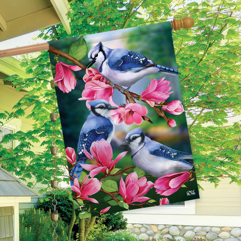 Drapeau de maison bleu Jay Trio, Rose / bleu