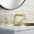 TENET Widespread Bathroom Faucet with Drain Assembly-93559677