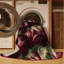  Tapis lavable Radicchio-820043034