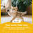 51.6" Bach Plush Cat Tree or Condo