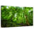 Alvord Basse-Terre Jungle-111839387