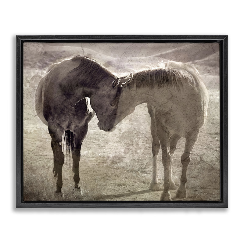 Cadre flottant à paire de chevaux en sourdine, design par Steve Toole, H 25 po x l 31 po, Cadre flottant noir de jais