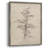 Vintage Sketch C Framed Print - Solid Wood