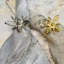 Bee Gold NR