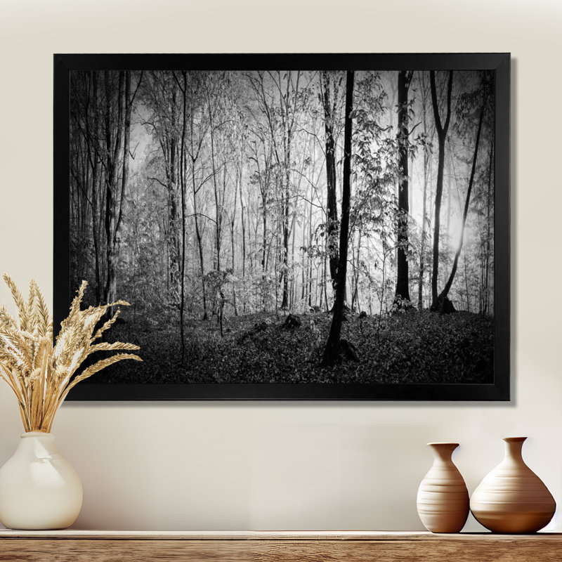 «Beautiful Forest Morning Panorama», reproduction, H 34 po x l 44 po, Cadre photo noir