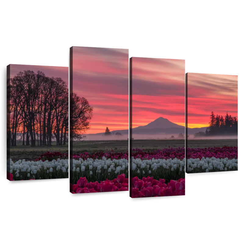 Coucher de soleil sur un champ de tulipes Alvord, H 27 po x l 43 po