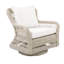 Southampton Deep Seating Rocker Chair with Cushions-410355445-409095241