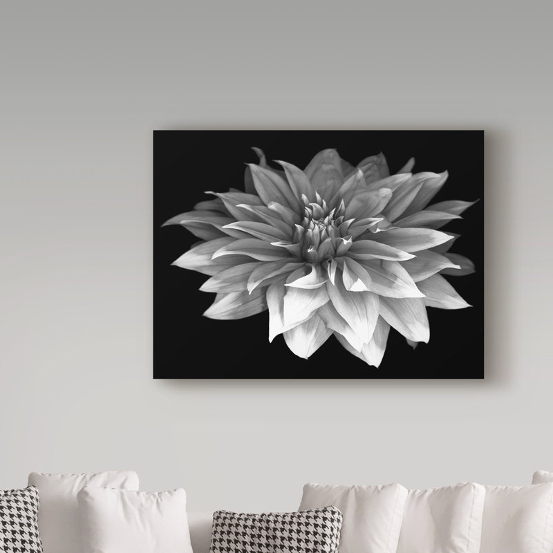 «Perfect Dahlia 1 Black and White» par Dosta, impression sur toile tendue, H 18 po x l 24 po x P 2 po