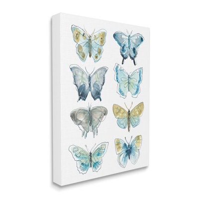 «Varied Butterflies and Moths Insects» par June Erica Vess - impression sur toile tendue