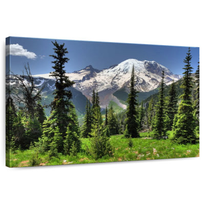 Alvord Pine Trees And Mount Rainer