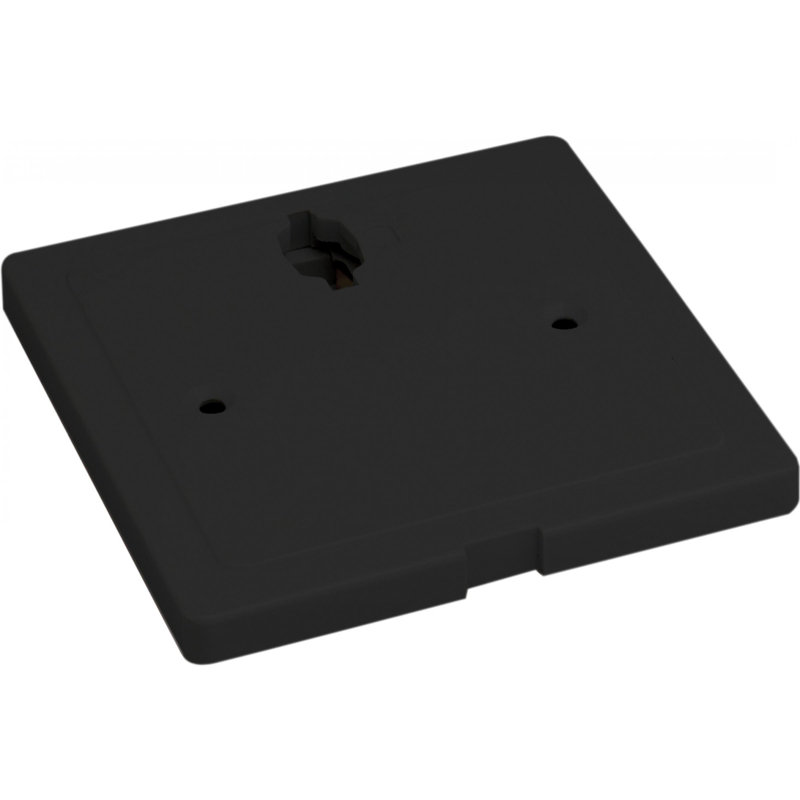 Track Light Offset Monopoint in Black