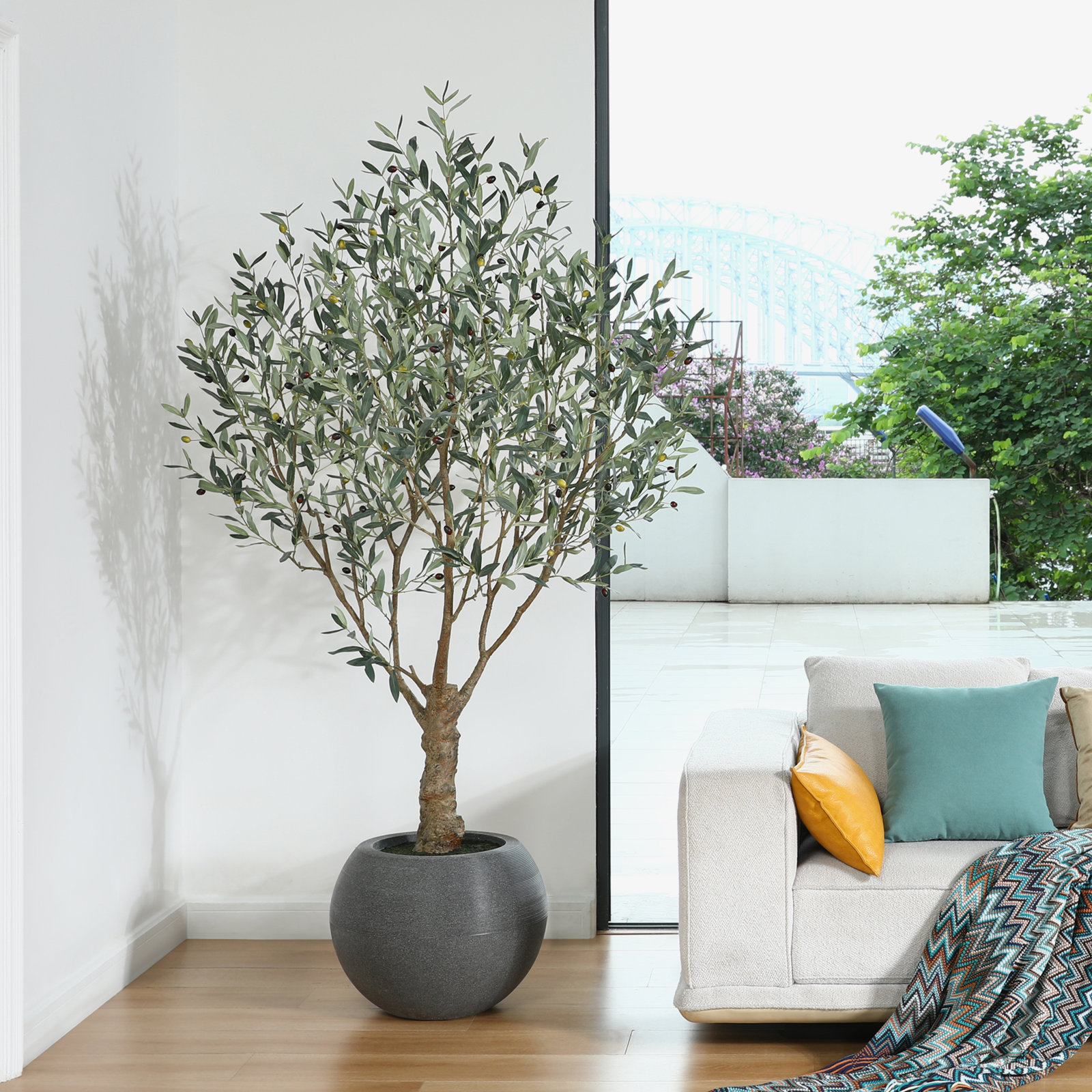 Akita 84" Olive Tree in Planter