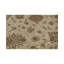 Wool Oriental Area Rug in Cream