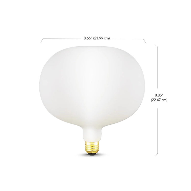 Globe Electric Decorative E26 (Medium) LED Bulb Cool White 7 Watt Equivalence 1 pk