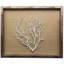 Sealife Print