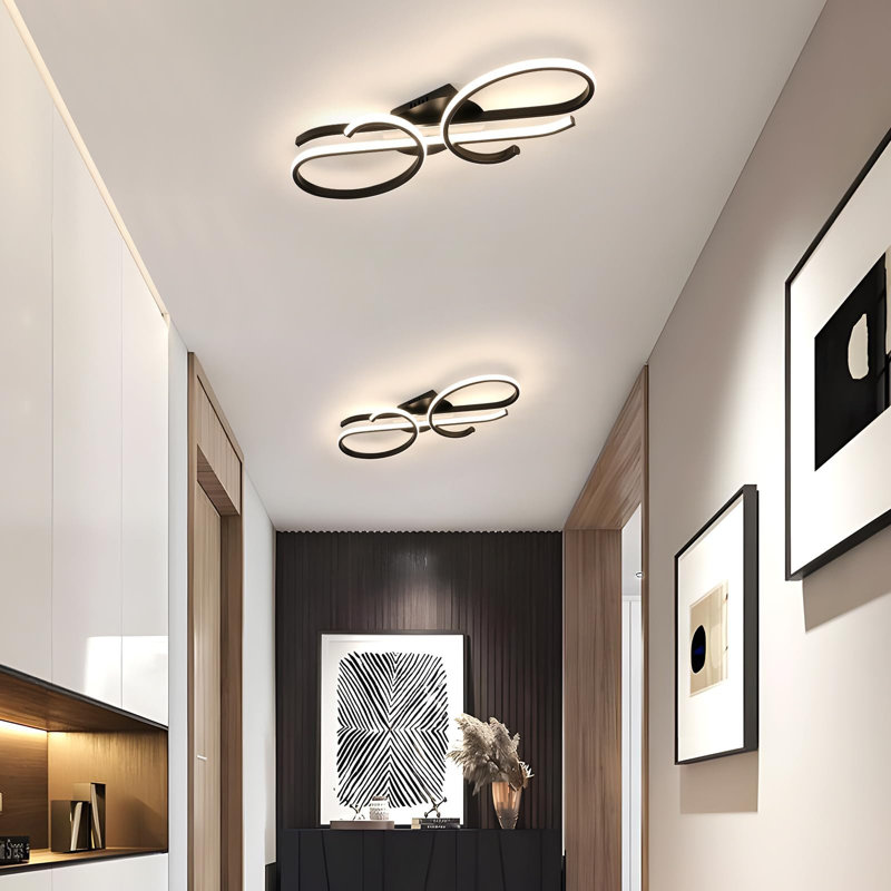 LED Ceiling Light, Creative Ceiling Fixture Lighting, 3000K-6500K, Flush Mount Light for Living Room, Black