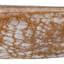 Bouvard Solid Wood Tray
