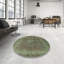 Oriental Indoor Rug-739008918