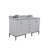 Aashir 61 " W Freestanding Standard Free Standing 2 Double Vanity Bathroom Vanity With Top