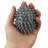 Cranon Plastic Dryer Balls
