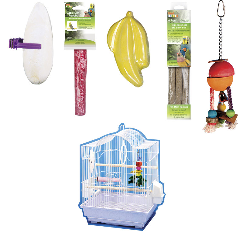 Ensemble de démarrage pour petits oiseaux avec cage à oiseaux et accessoires - Style arche - Blanc