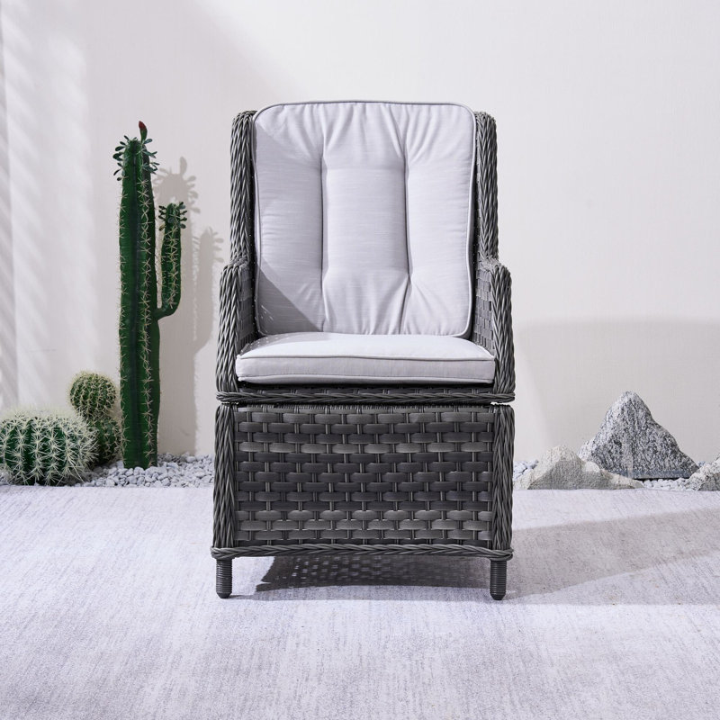 Fauteuil de salle à manger avec coussins Aeryna, Blanc / Gris