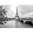 Paris Eiffel Tower from Seine Cityscape in Black and White Self-Adhesive Large Wallpaper-93996588