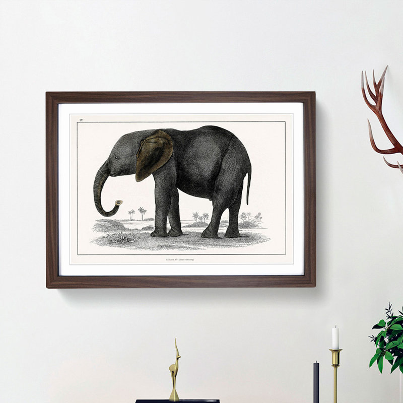 Elephant by Oliver Goldsmith - Picture Frame Painting Print, 27cm H x 36cm W x 2cm D, Walnut Framed