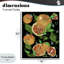 Pamplemousse et fougères Medley, estampe numérique, design par Susan Lugar-122749203-122749198