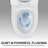 White Ceramic Toilet, 1.1/1.6 , Elongated, Comfortable, Soft Close Seat, & , T036wt One Comfort Height, White,