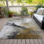 Machine Washable Indoor/Outdoor Xhevrie Brown Rug-111819166
