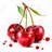 Cherries - Red Framed Canvas Art for Home Decor