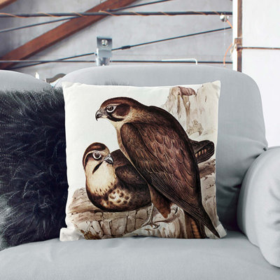 Brown Hawks Square Throw Cushion
