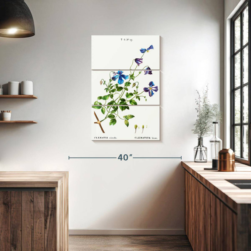 Harnek Clematis Viticella, 45" H x 28" W