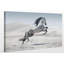 The Winter Stallion - Wrapped Canvas Print-709002295