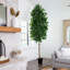 Ficus en pot 120 po en pot