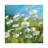 Summer Field II by Summer Field II - Painting on Canvas-1285479911-1285479910