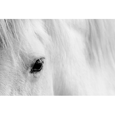 " White Horse " by Kasto80