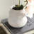 Dirette Vase Small-1296022652