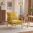 Masson Chenille Accent Chair Armchair With Pillow-1185751584