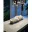 Orchid Stems in Planter-1146220048