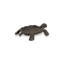 Figurine turtle Feld