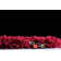 Red Area Rug