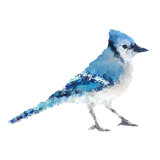 Feathered Mosaic III Print by Emma Brooks