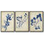 Liquide corail I, ensemble de 3 toiles encadrées sur toile-97812295-97812294