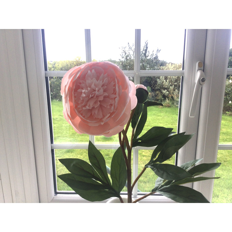 Frilled Peony, Blush Pink