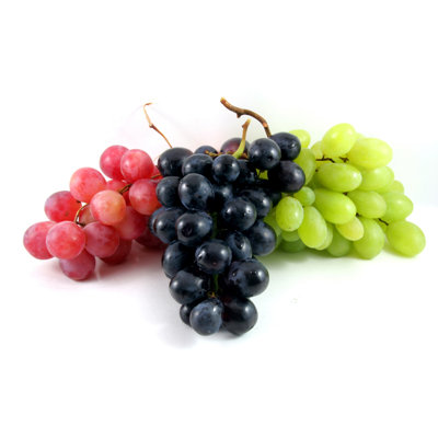 Bunches Of Grapes by Botahoratiu - Wrapped Canvas Print